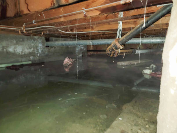 Best Water damage cleanup near me  in Mcmechen, WV