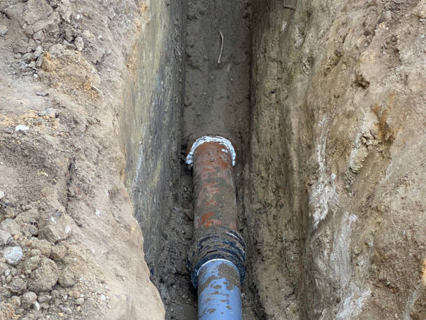 Best Flood damage cleanup  in Mcmechen, WV